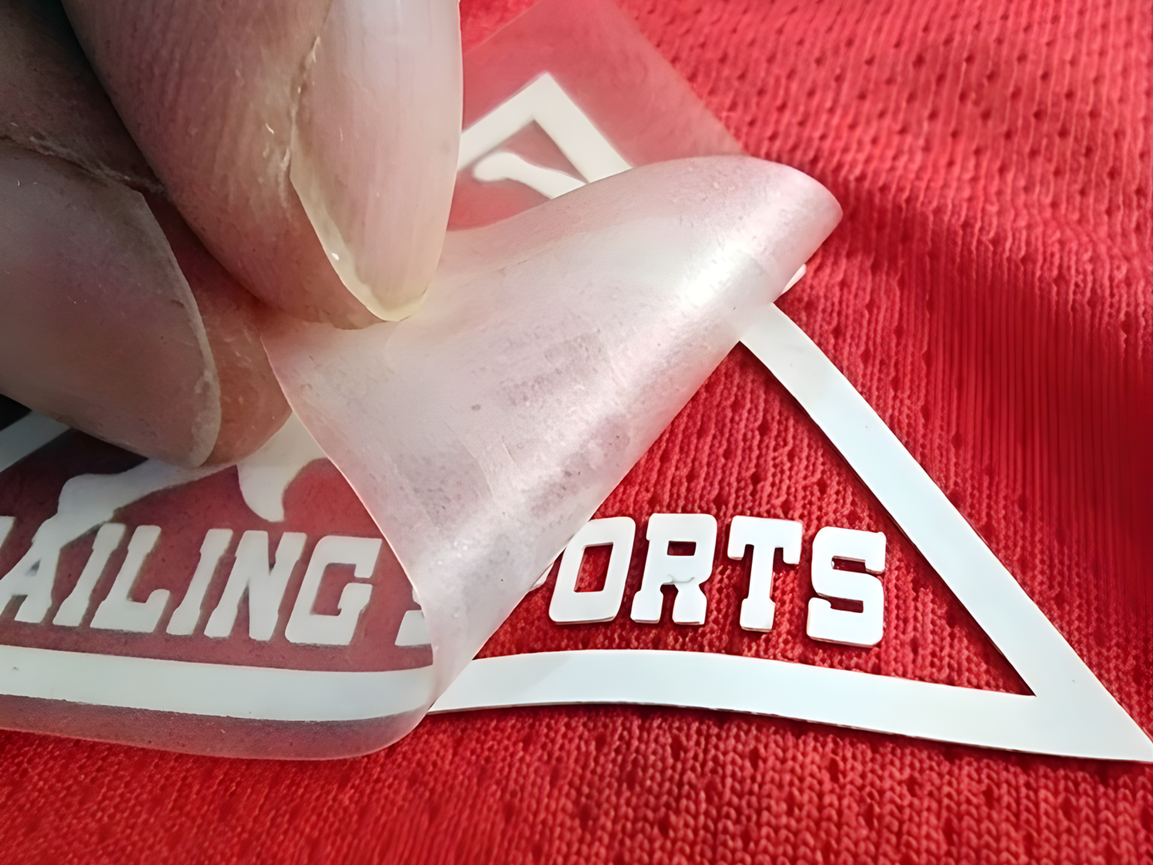 Vinyl Transfer